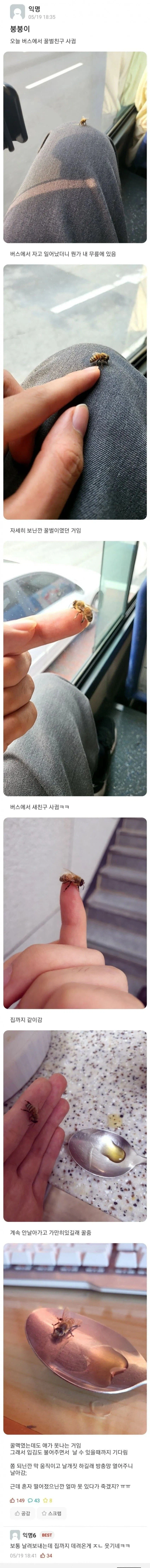 꿀벌 친구를 사귄 사람.jpg_1.webp