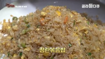 완전 동물복지 중국 닭 사육장_6.webp