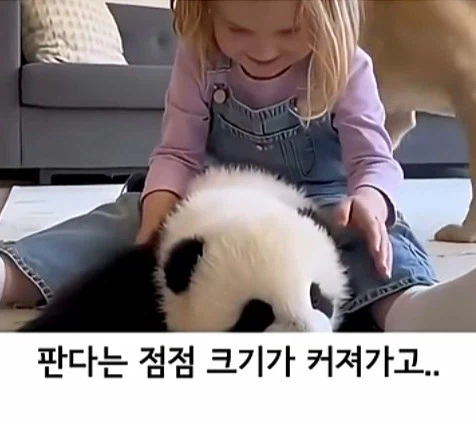 유투브 쇼츠 AI 뇌절 대잔치_9.webp