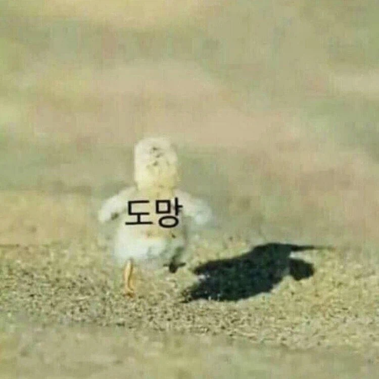 어떻게 생각하면 인생 업적인 것_5.webp
