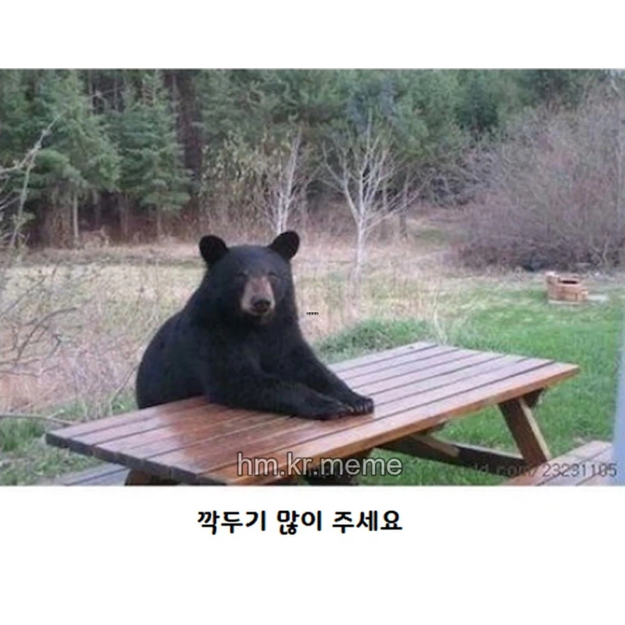 동물 제목학원 모음_3.webp