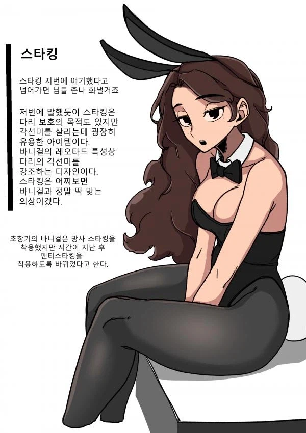바니걸에 대해 알아보는 만화_12.webp