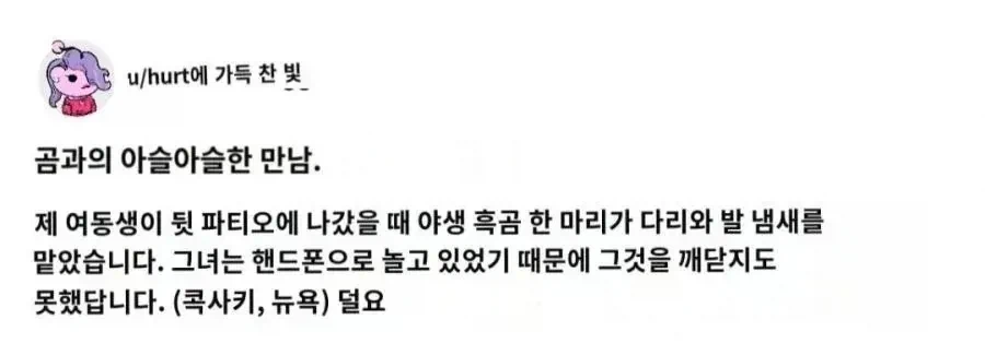 야생 곰을 만난 여동생_1.webp