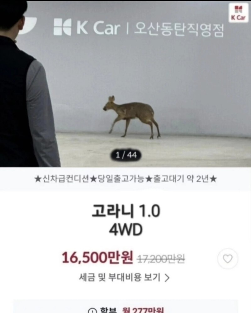 무사고 중고차 역대급 매물_1.jpg