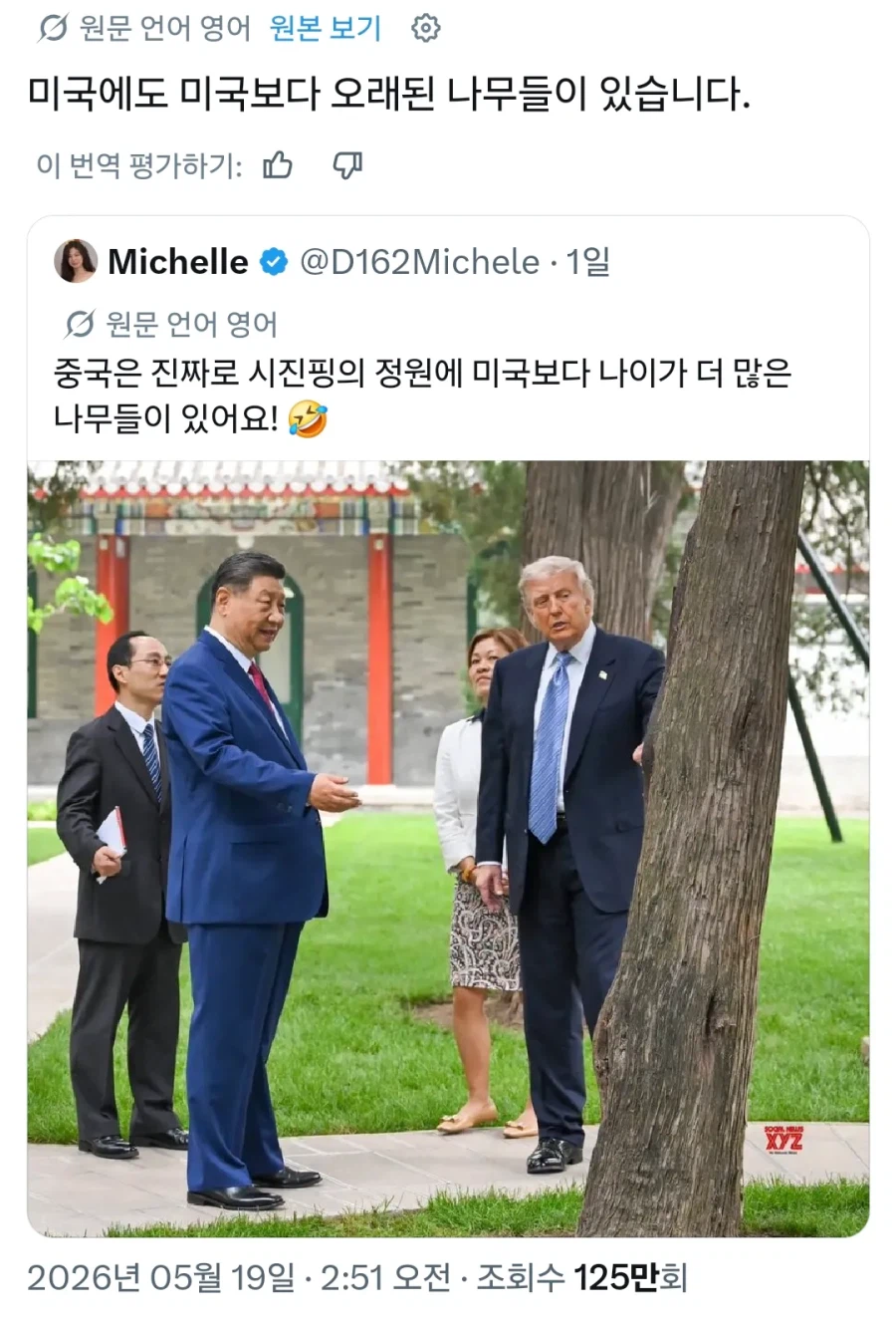 중국에는 미국보다 오래된 나무가 있다_1.webp