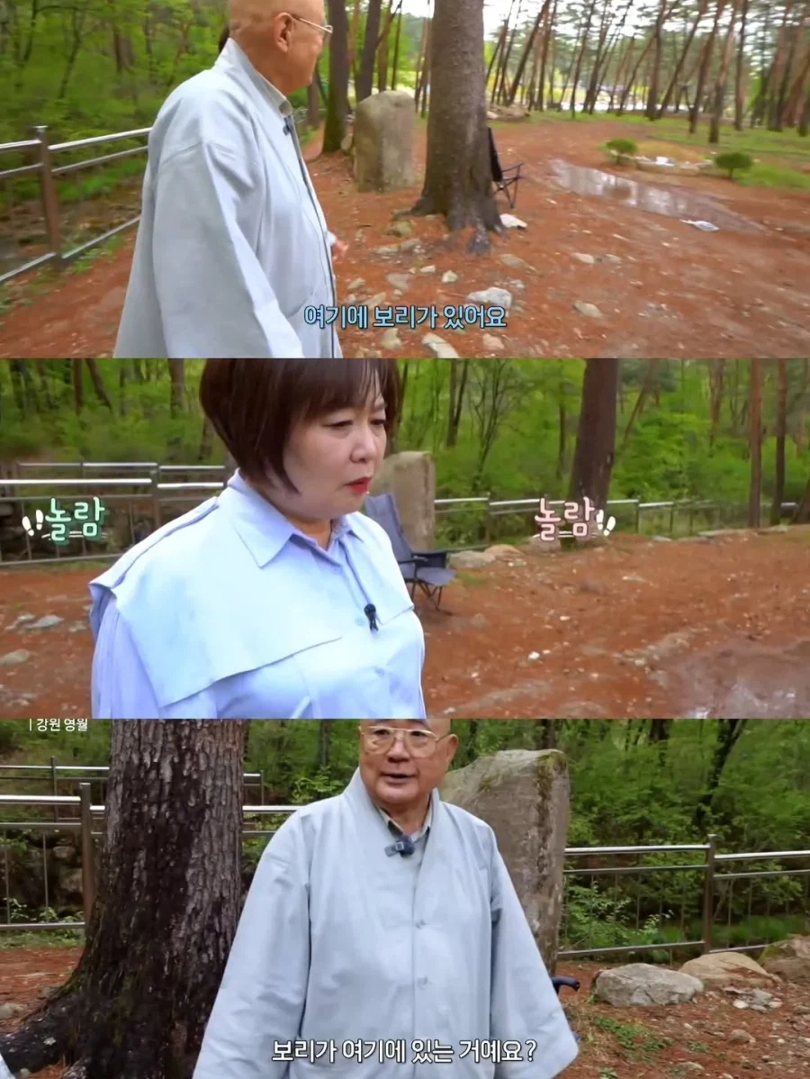 스님 머리 핥는 개로 유명했던 보리를 잊지 못하는 스님_3.webp