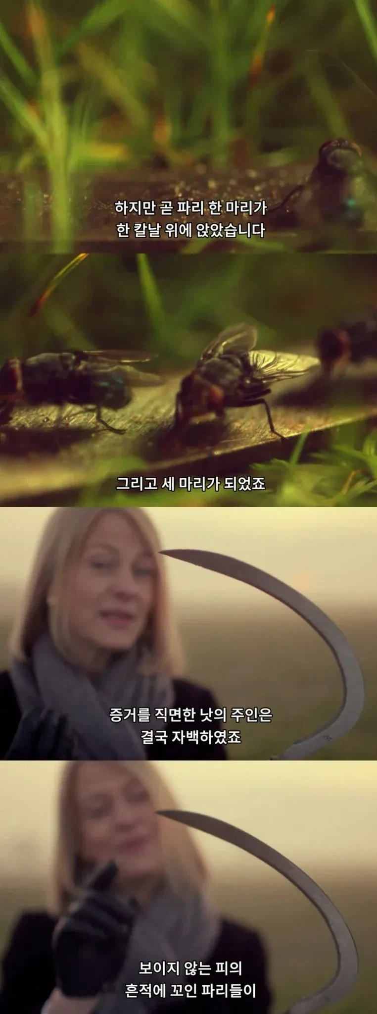 중국 송나라 시절 살인사건 수사법.jpg_3.webp