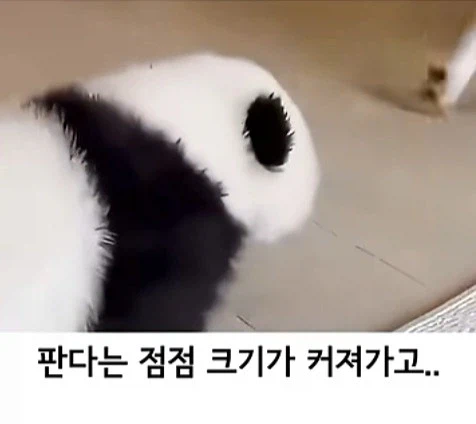 유투브 쇼츠 AI 뇌절 대잔치_8.webp