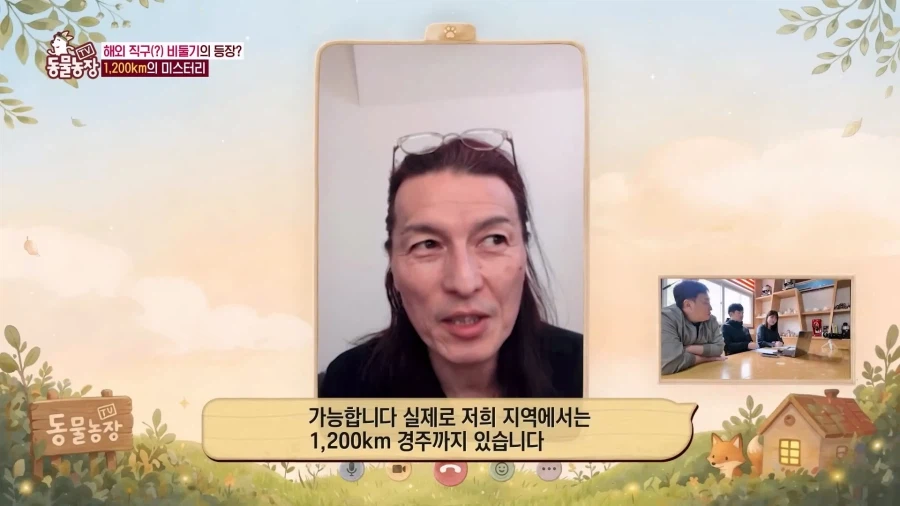 일본에서 1200km 를 날아서 한국으로 온 비둘기_13.webp