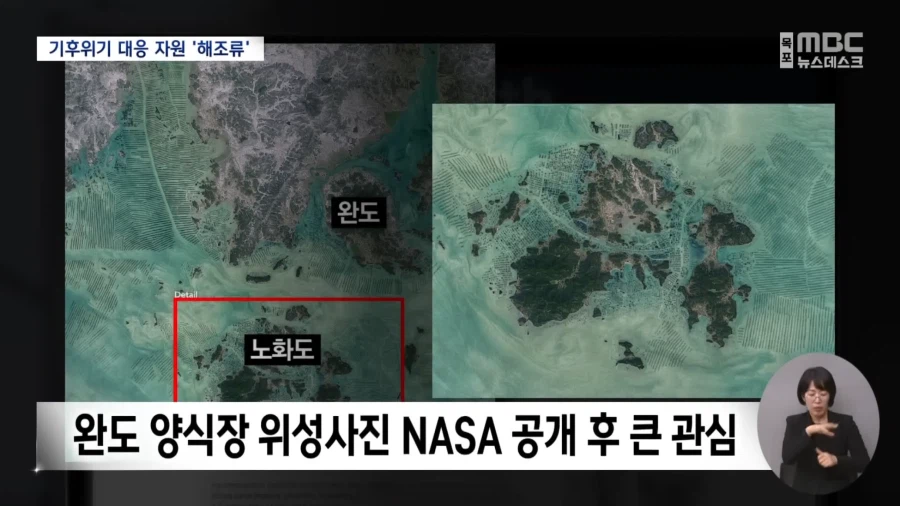 전 세계가 주목하고 있는 한국의 섬 근황.JPG_7.webp