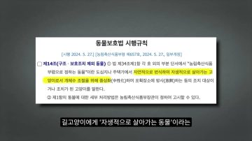 다시 한번 길고양이 문제에 대해 강하게 어필하는 유튜버 (※스압주의)_72.webp