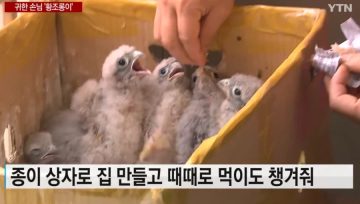 아파트에 적응 잘한 조류_5.webp