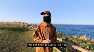 다시 한번 길고양이 문제에 대해 강하게 어필하는 유튜버 (※스압주의)_85.webp