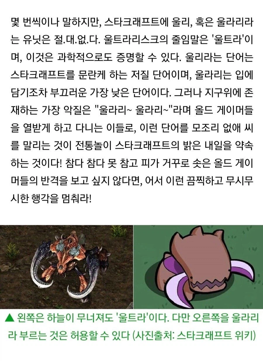 기자가 개빡친 이유.jpg_1.webp