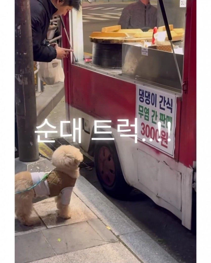 집 앞에 엄청난게 생겨버렸다_3.webp