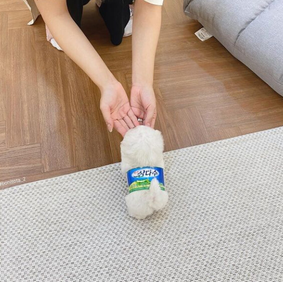 니들 삼다수 병 버릴때 라벨 제대로 뜯어라...._2.png
