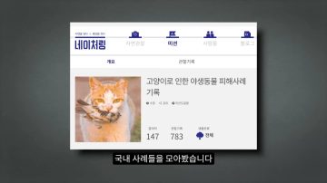 다시 한번 길고양이 문제에 대해 강하게 어필하는 유튜버 (※스압주의)_54.webp