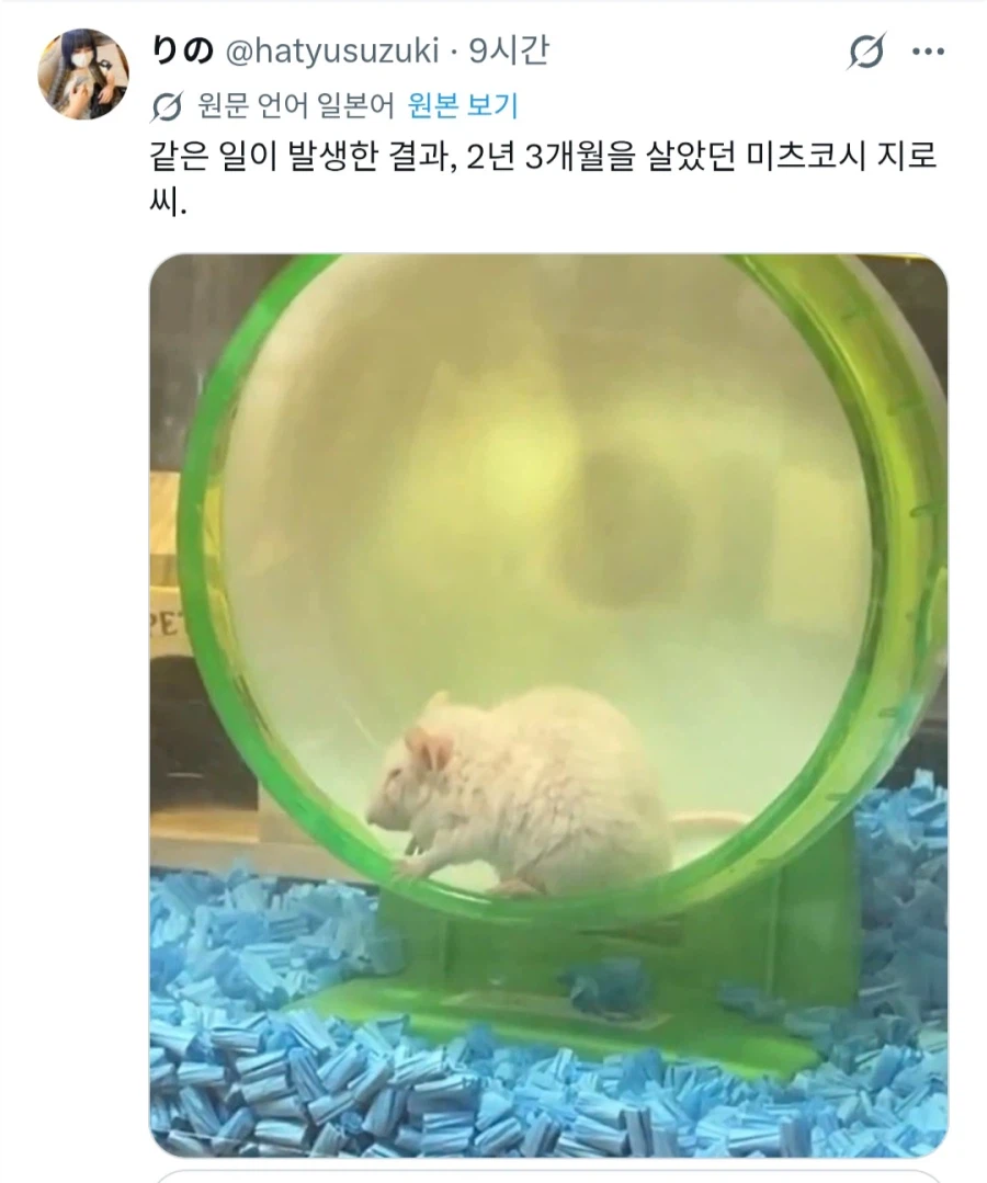 "키우는 뱀이 음식을 먹지를 않는군"_2.webp