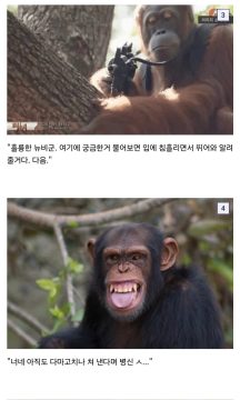 정지. 정지. 움직이면 쏜다._2.webp