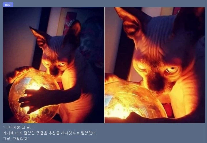 "베스트에 올라간 글을 지웠구나"_1.webp