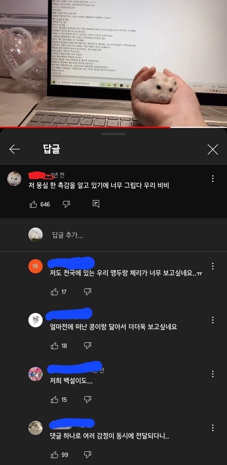 죽은 햄서터를 그리워 하는 집사들_1.webp