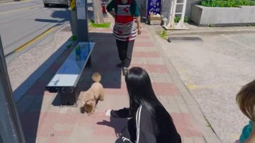길가다 강아지보고 깜짝 놀란 갸루귀신_2.webp