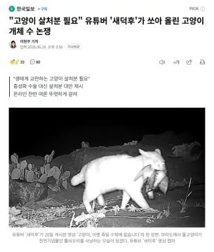'고양이 살처분 필요?' 유튜버가 쏘아올린 작은 공_1.webp