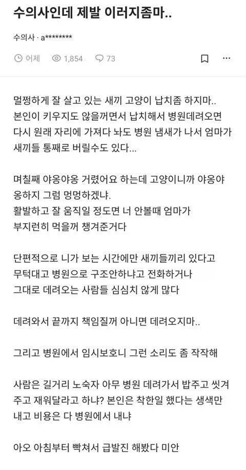 수의사:제발 새끼 고양이 납치해서 오지마_1.webp