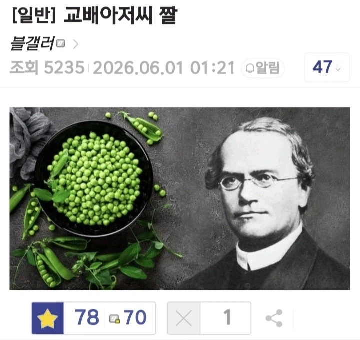 이상적인 교배 아저씨 짤.jpg_1.webp