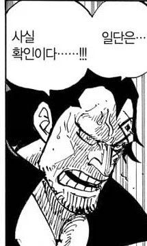 화룡의 비늘만큼 불에 강한 껍질_2.webp