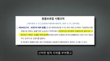 다시 한번 길고양이 문제에 대해 강하게 어필하는 유튜버 (※스압주의)_73.webp