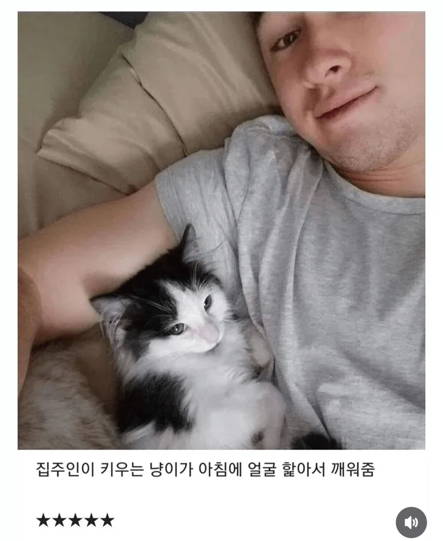 에어비앤비 숙소 별점 5개 준 이유_1.webp