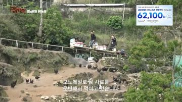 완전 동물복지 중국 닭 사육장_17.webp