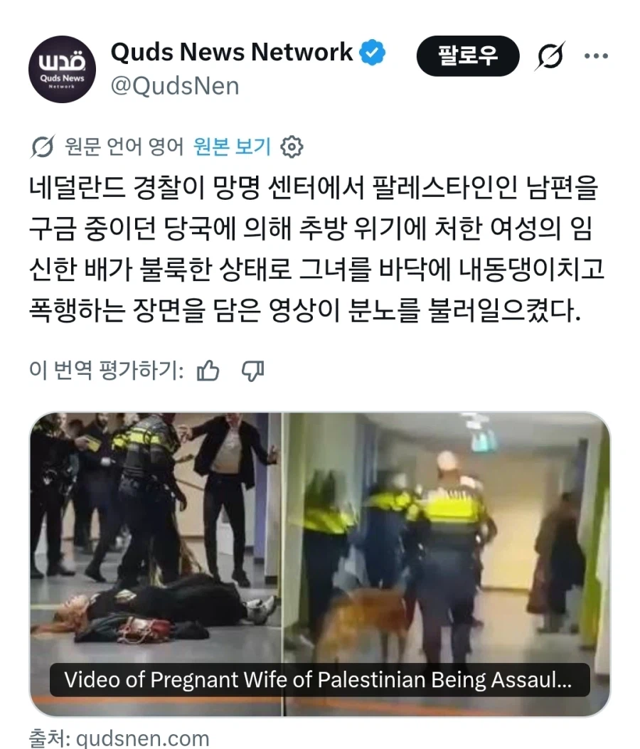 난리난 네덜란드 경찰 과잉진압 논란_1.webp