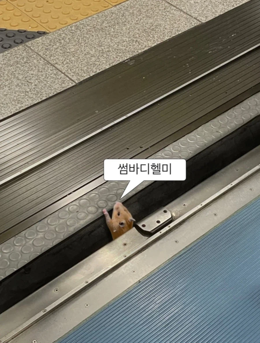너네는 생기부에 뭐라고 써져있음?_1.webp