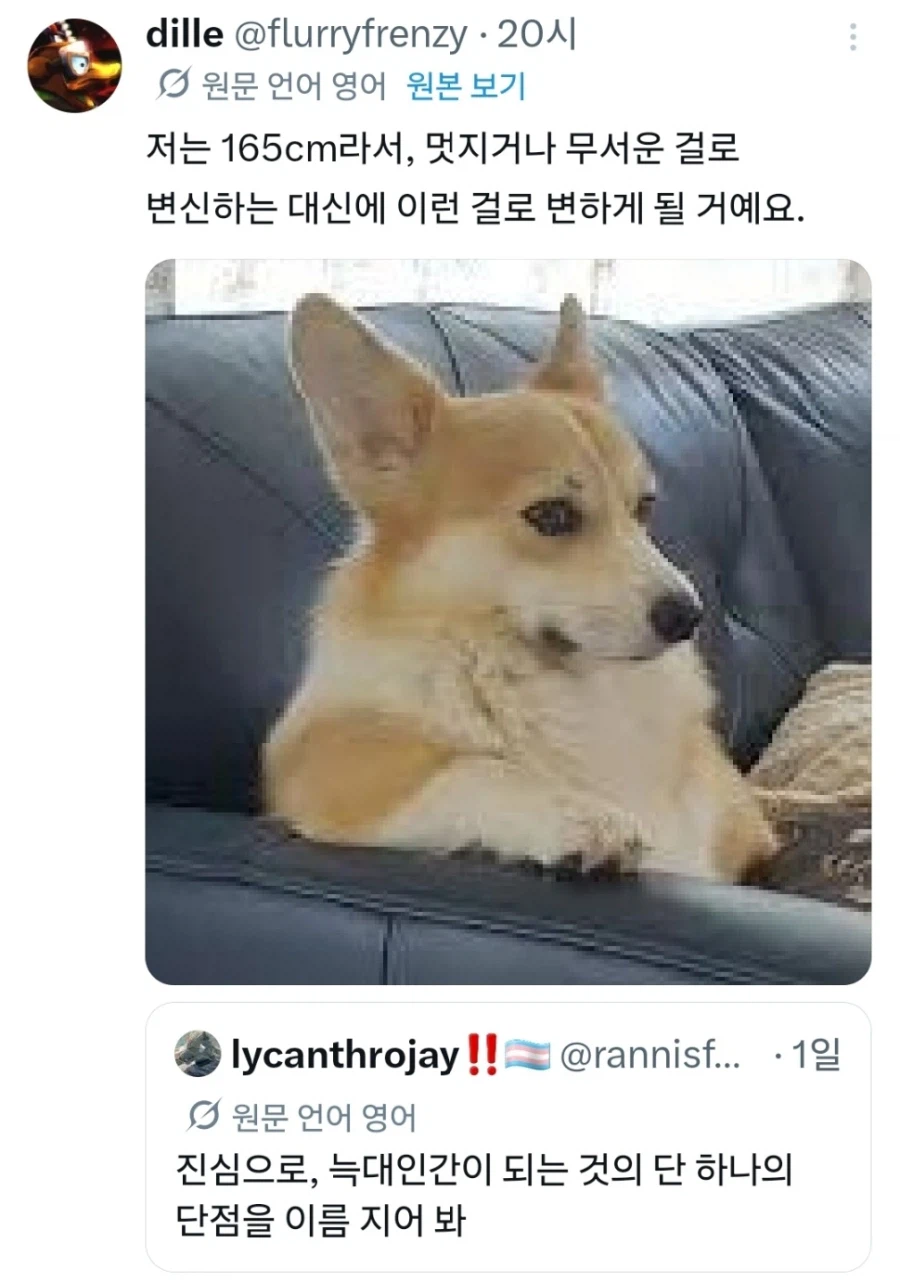 늑대인간이 돠는 것의 단점 하나만 말해봐.x_1.webp