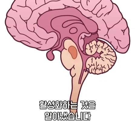 만성 통증 VS 공포·갈증·배고픔.jpg_13.webp