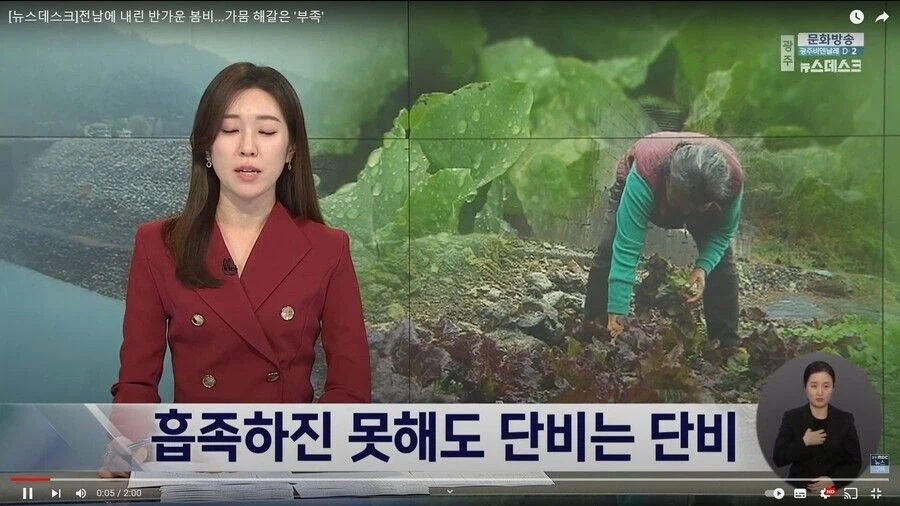 가뭄에 비올때 취재에 적합한 기자_1.webp