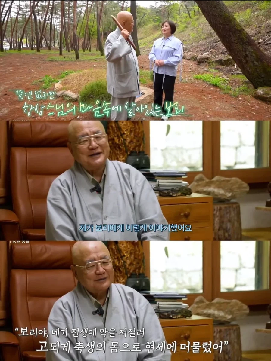 스님 머리 핥는 개로 유명했던 보리를 잊지 못하는 스님_10.webp