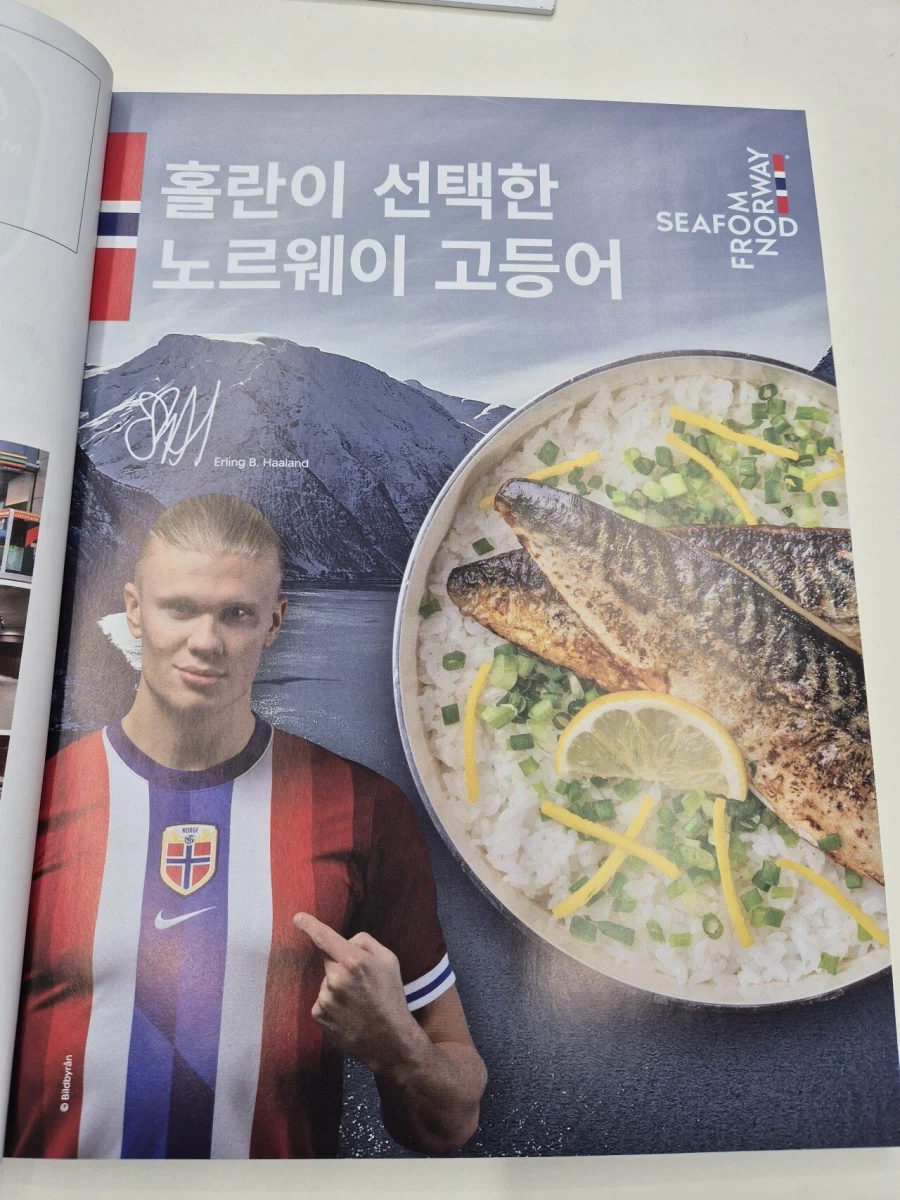 홀란드가 선택한 노르웨이 수출품_2.webp