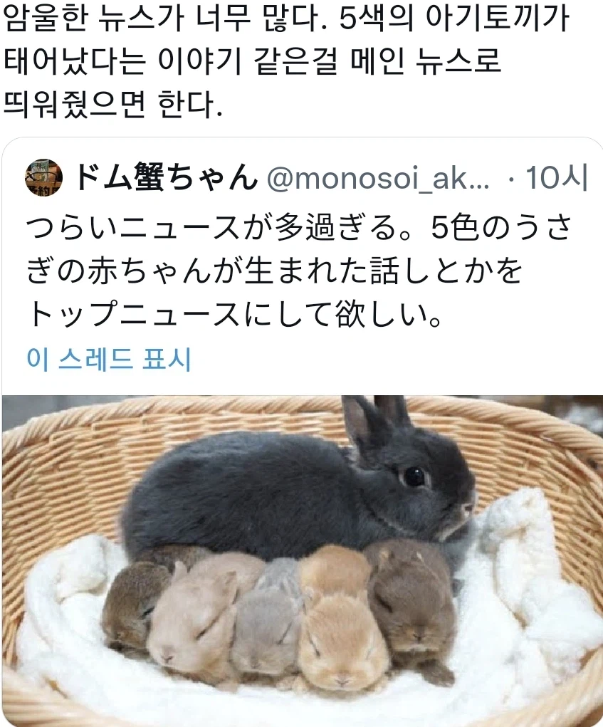 요즘 암울한 뉴스가 너무 많다_1.webp