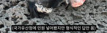 어제 새덕후 영상 올라왔네_1.webp