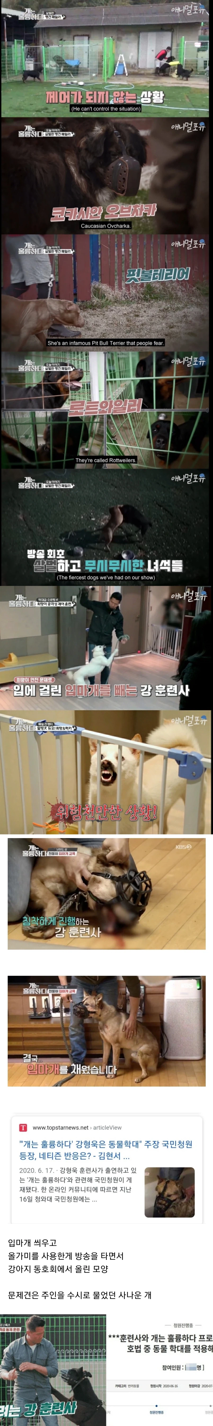 폭력견을 교육한 강형욱 교육사를 신고한 시민.jpg_1.webp