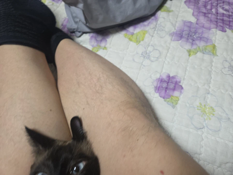 혐오주의)나는 고양이를 학대하는 것이 매우 즐겁다_5.webp