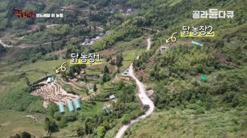 완전 동물복지 중국 닭 사육장_15.webp