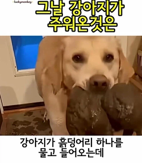 유투브 쇼츠 AI 뇌절 대잔치_1.webp