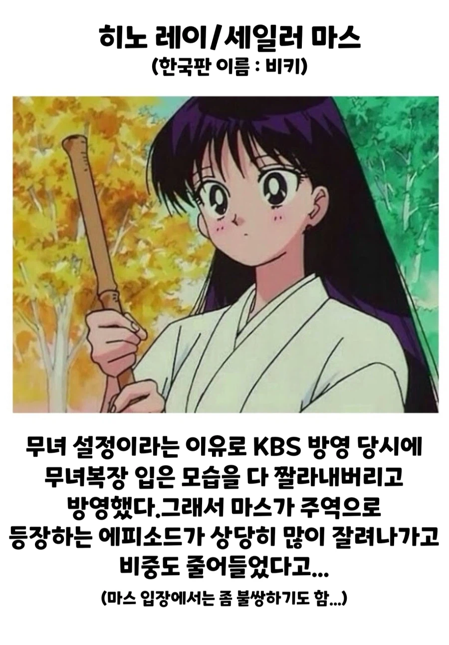세일러문 KBS 방영당시에 제일 피해를 많이 입었던 캐릭터_1.webp