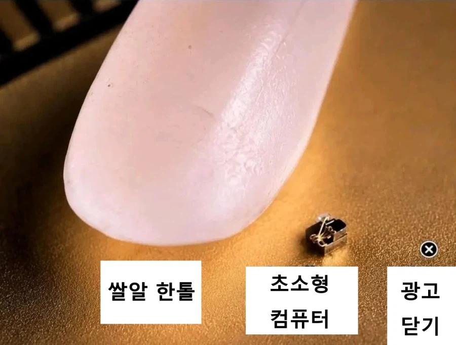 심기가 불편해지는 크기 비교.jpg_1.webp