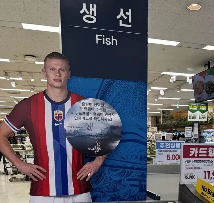 홀란드가 선택한 노르웨이 수출품_3.webp