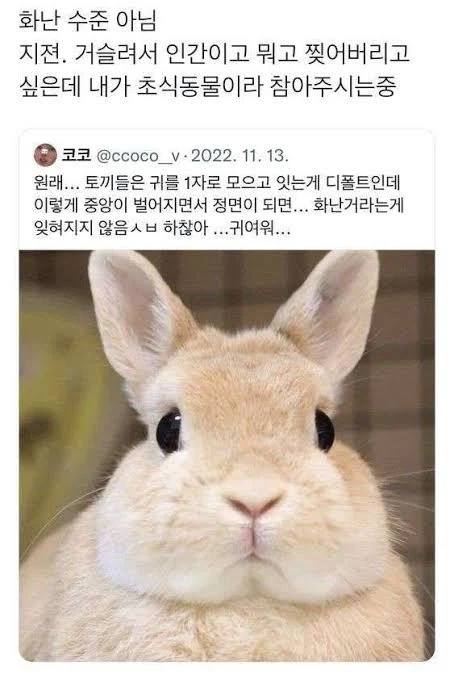 자러가기 전에 동물짤이나 방출하고 갈거야_5.webp
